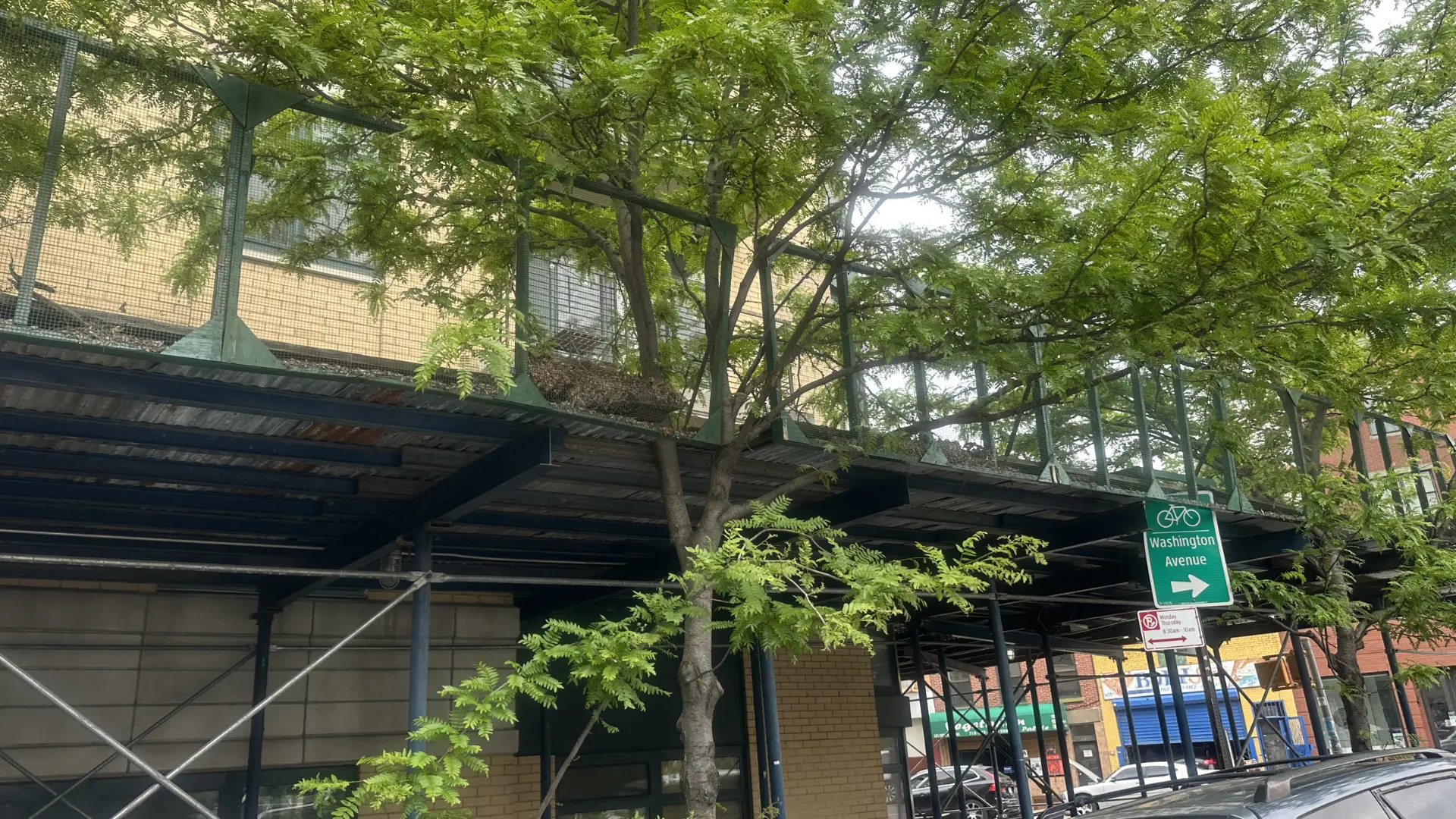 Pipe scaffolding on NYC construction site